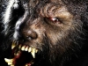 wolfman_haut23